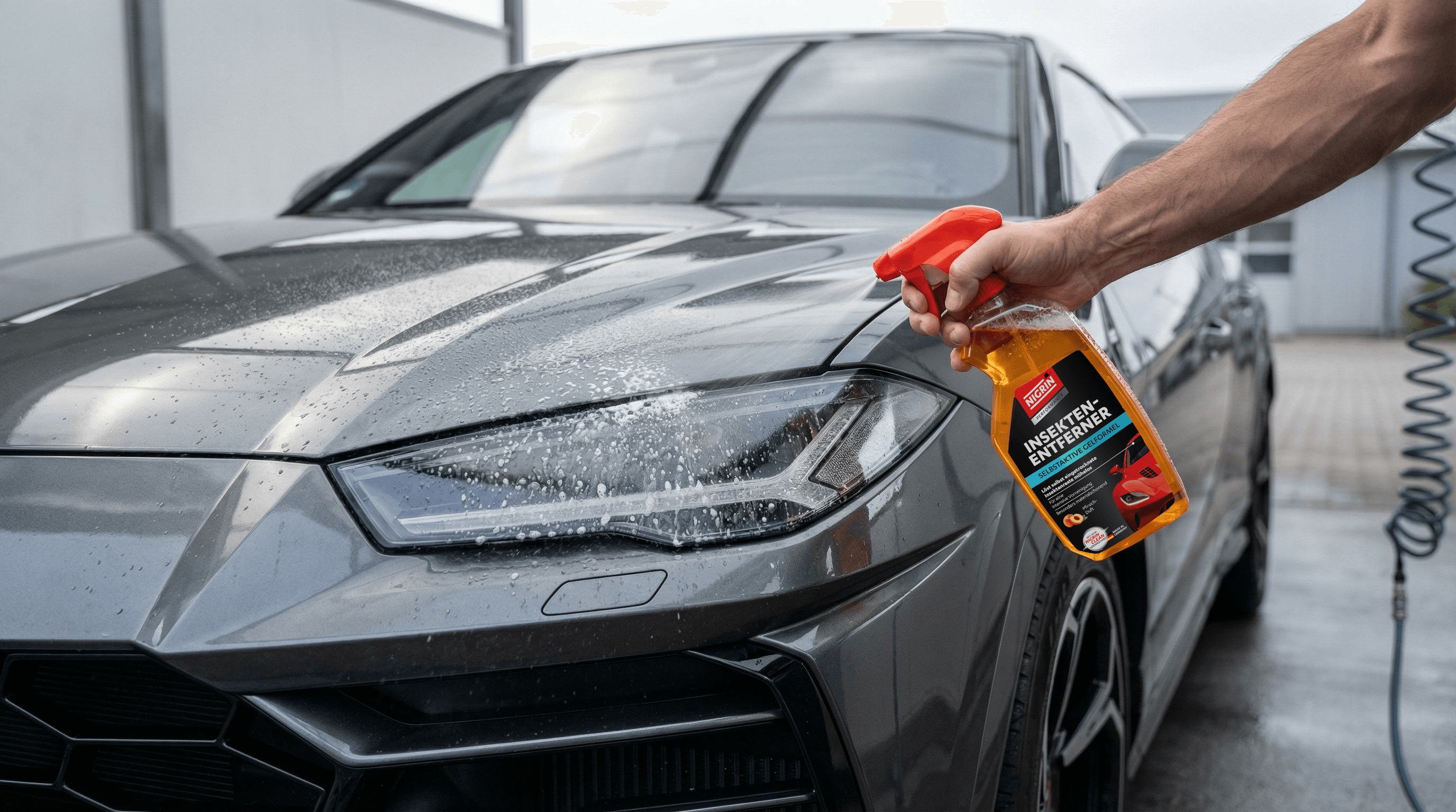NIGRIN PERFORMANCE insect remover