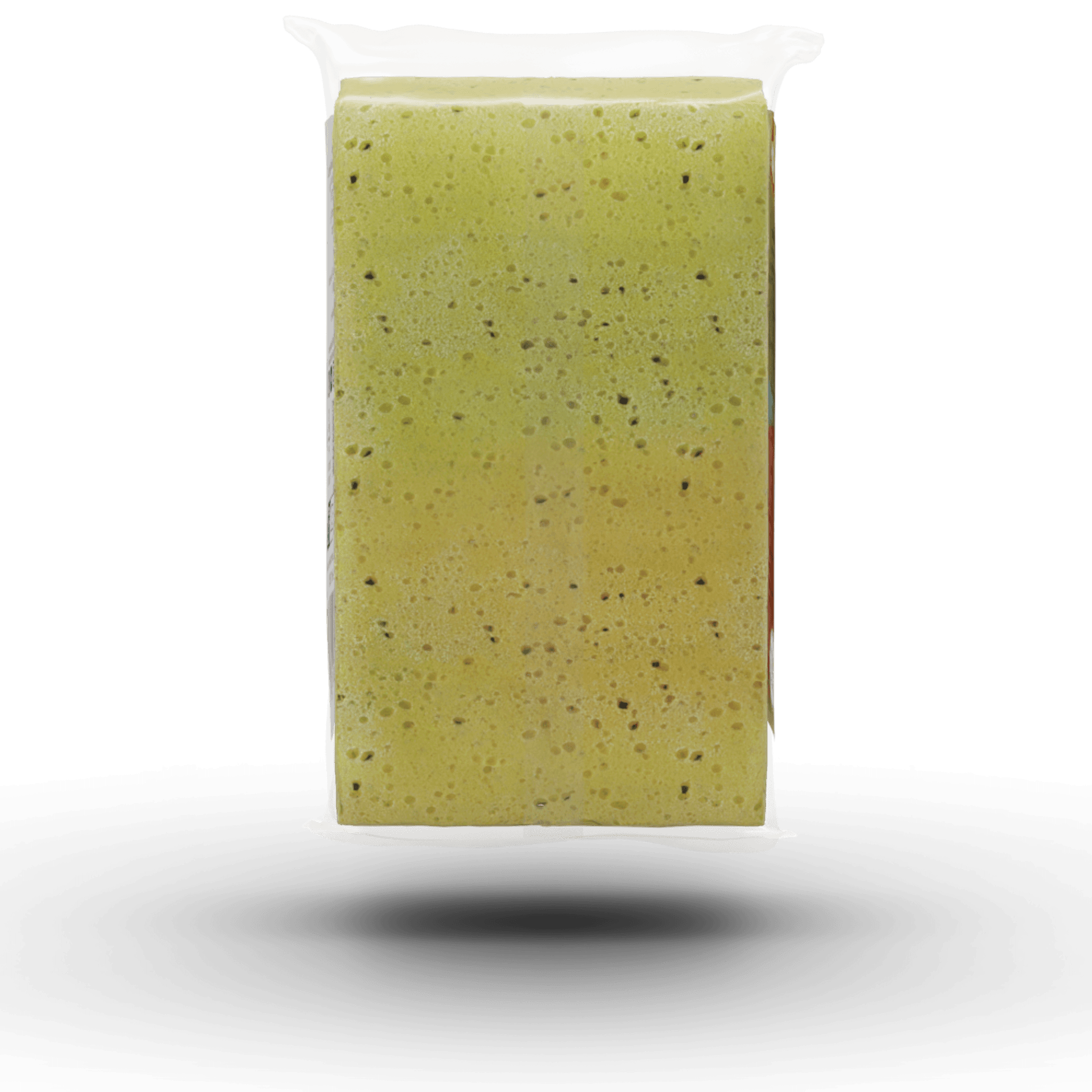 Insect Sponge