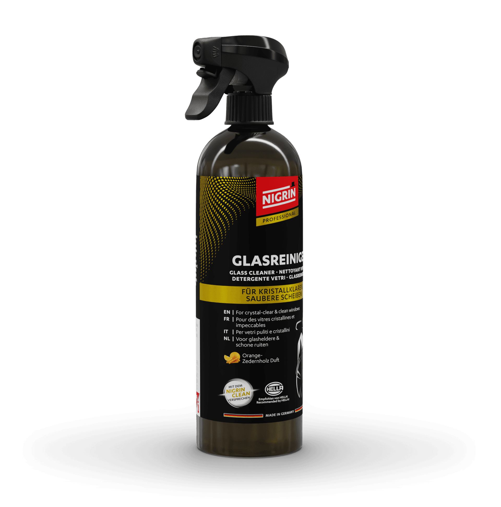PROFESSIONAL Glass Cleaner 750 ml